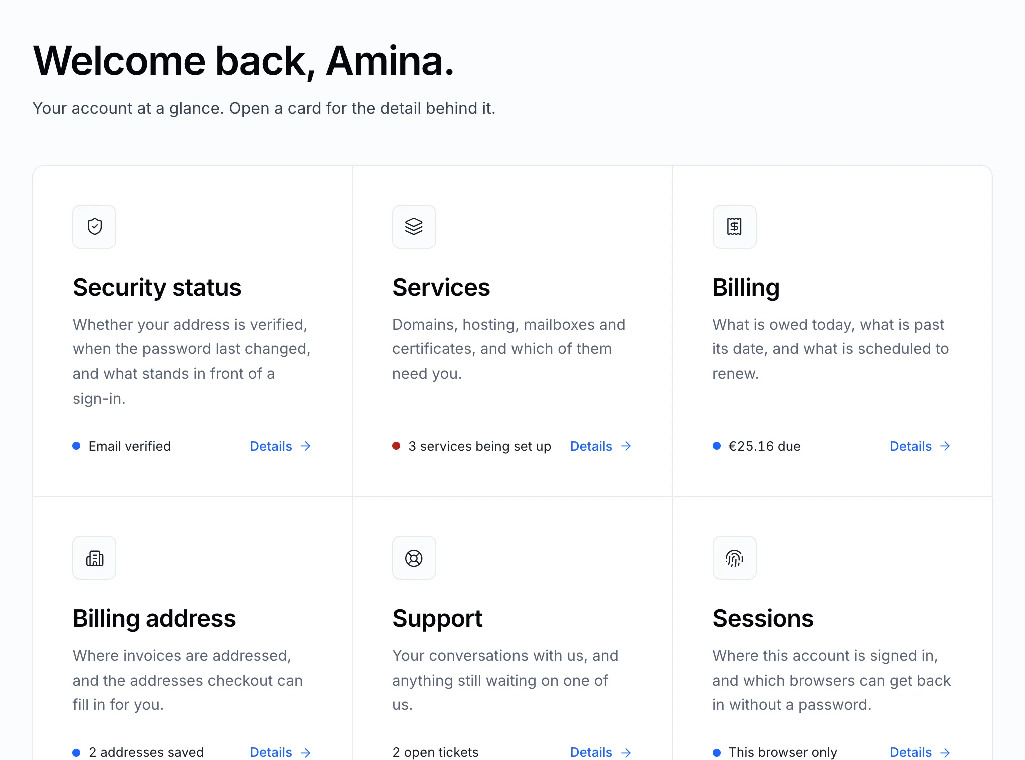 The account overview
